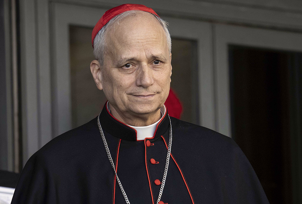 20250424T1230-INTERREGNUM-CARDINALS-APRIL24-1794650 crop